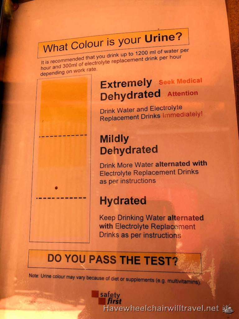 Best & worst accessible bathrooms around the world - Have Wheelchair Will Travel