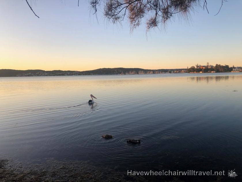 Belmont Lakeside Holiday Park - accessible accommodation Lake Macquarie - Have Wheelchair Will Travel