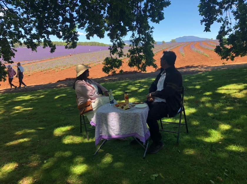 Bridestowe Lavender Farm Tasmania review - Have Wheelchair Will Travel