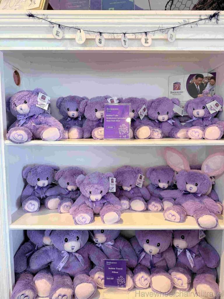 Bridestowe Lavender Farm Tasmania review - Have Wheelchair Will Travel