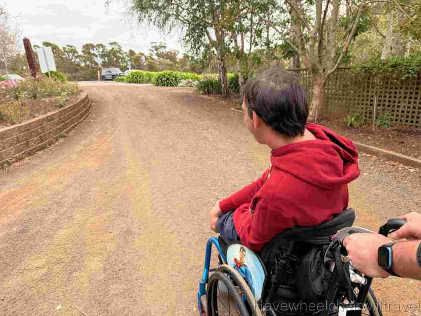 Bridestowe Lavender Farm Tasmania review - Have Wheelchair Will Travel