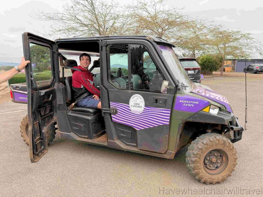 Bridestowe Lavender Farm Tasmania review - Have Wheelchair Will Travel