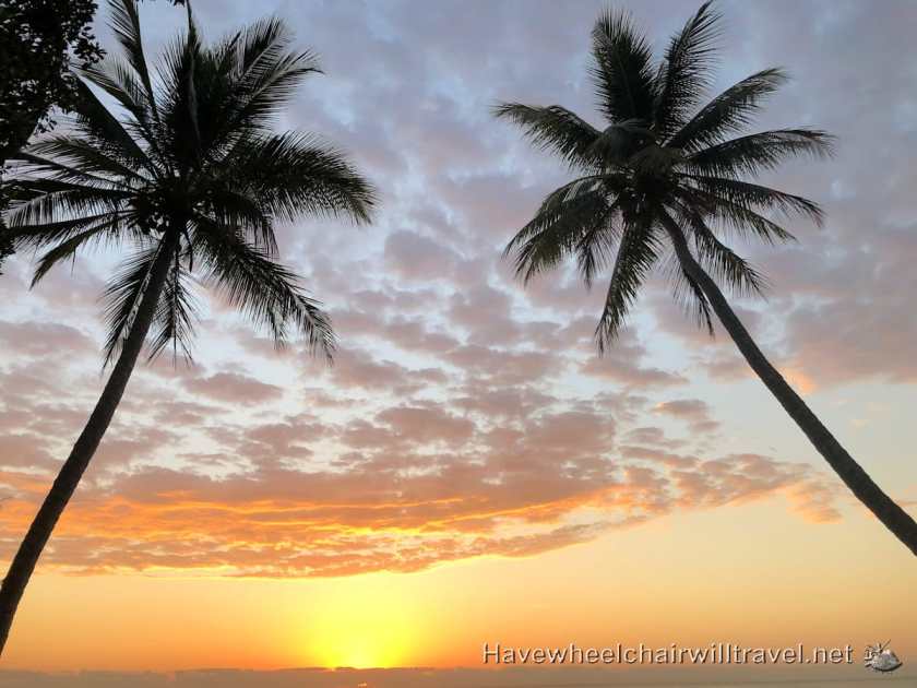 Parents and carers need more support - Have Wheelchair Will Travel