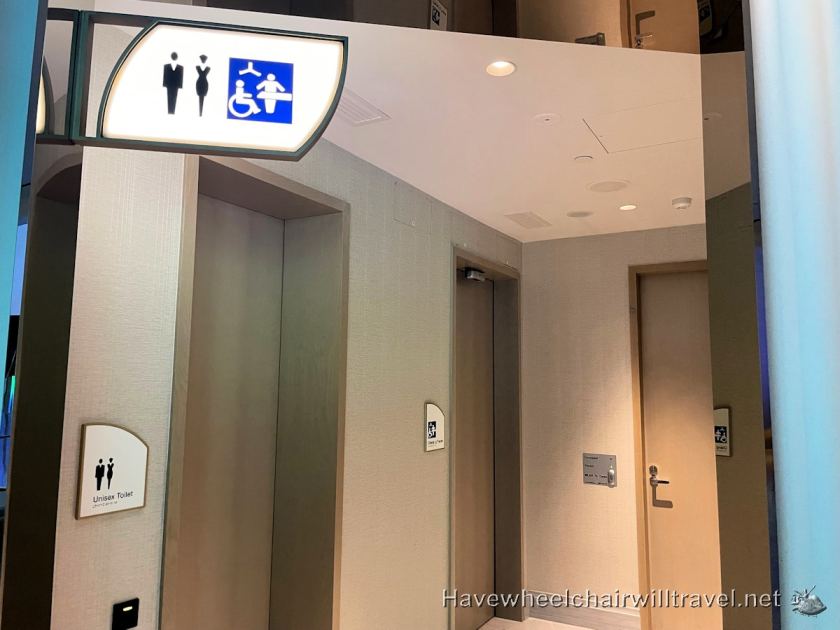 7 Accessible Sydney toilets with hoist & adult-size change table