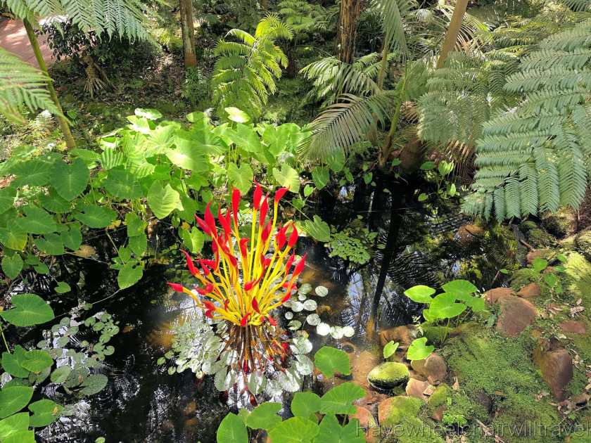 Chihuly exhibition review Adelaide Botanic Gardens - Have Wheelchair Will Travel