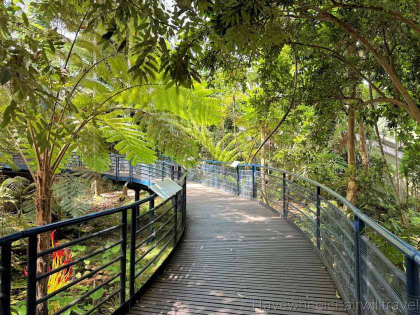Life in Colour: Dale Chihuly exhibition in the Bicentennial Conservatory - Have Wheelchair Will Travel