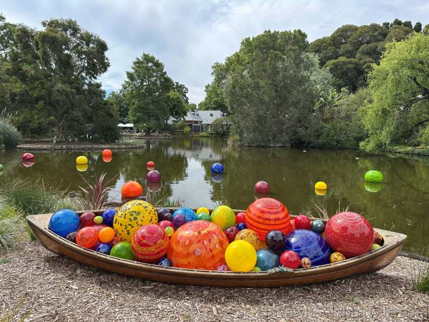 Chihuly exhibition review Adelaide Botanic Gardens - Have Wheelchair Will Travel