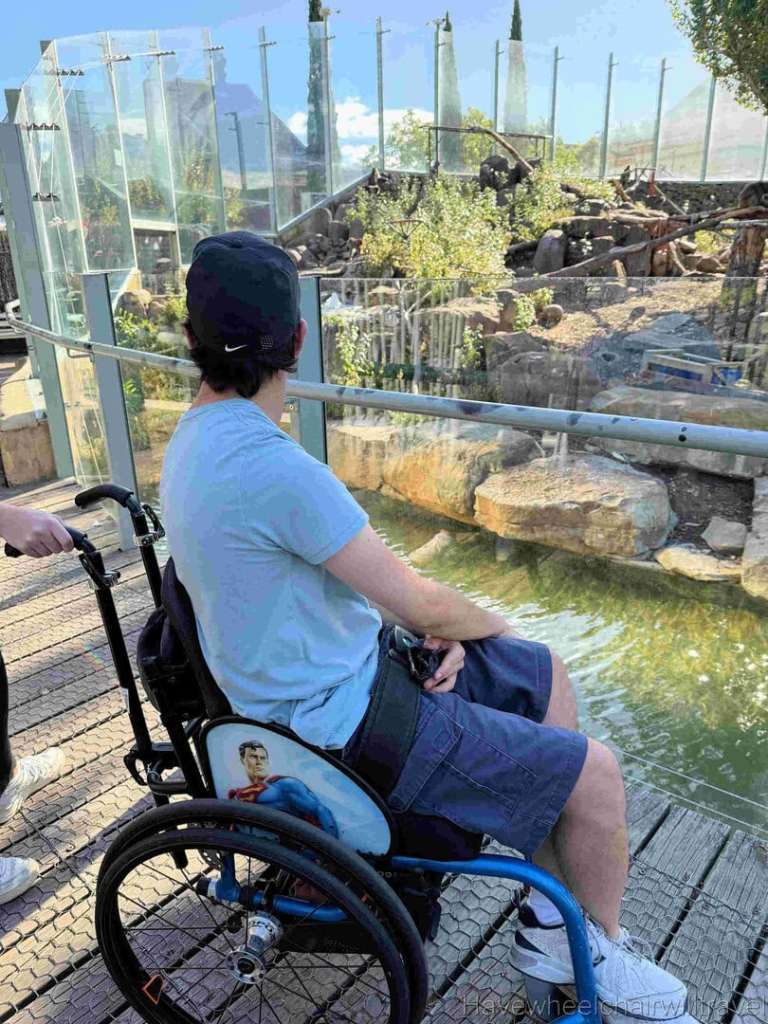 Hotel Verge review - City Park Launceston, Tasmania - Have Wheelchair Will Travel