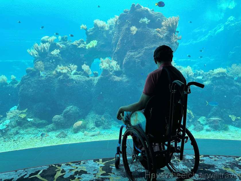 Daydream Island Resort - hotel review - Have Wheelchair Will Travel
