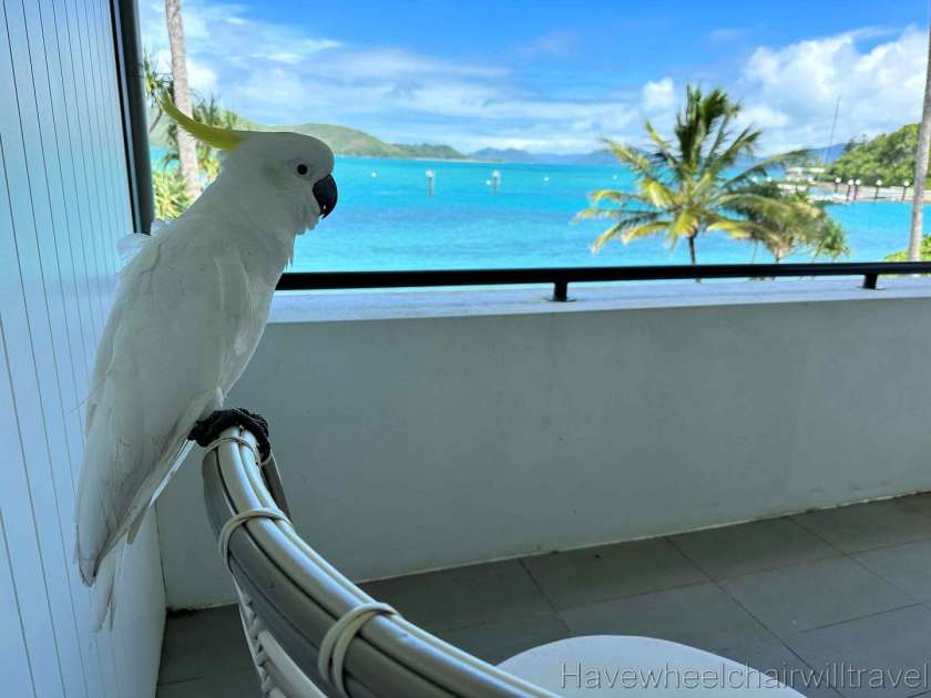 Daydream Island Resort - hotel review - Have Wheelchair Will Travel