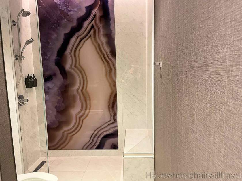 Delta Sky Club Lounge LAX - Have Wheelchair Will Travel 