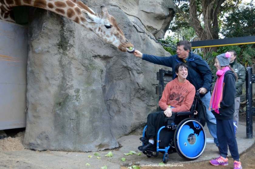 21 Excellent Adventures