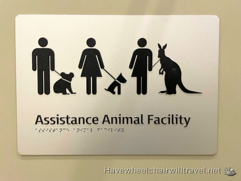 Braeden's first flight in 3 years - Gold Coast getaway - Have Wheelchair Will Travel 