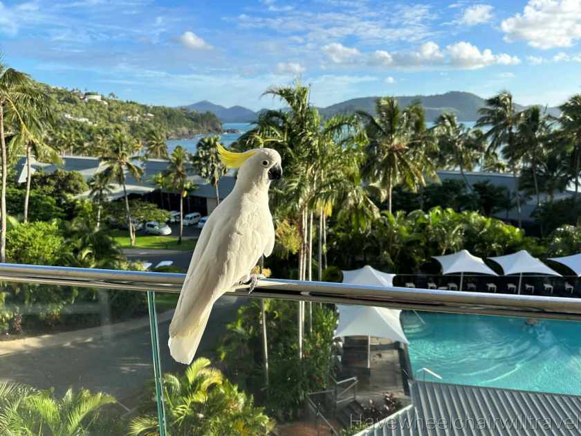 Reef View Hotel review Hamilton Island - Have Wheelchair Will Travel