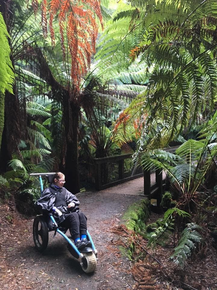 Disability Equipment Solutions