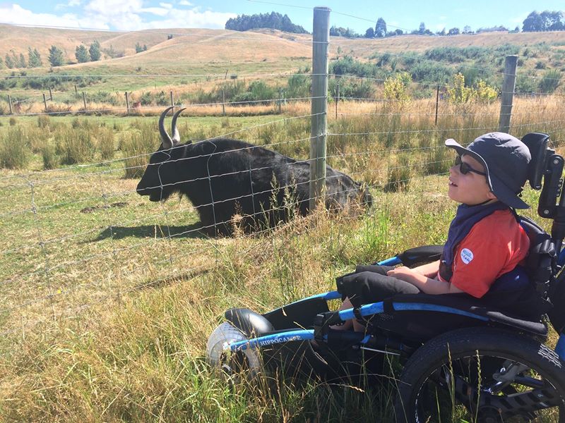 Disability Equipment Solutions