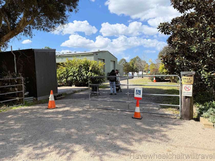 Iris Lodge Alpaca - Have Wheelchair Will Travel