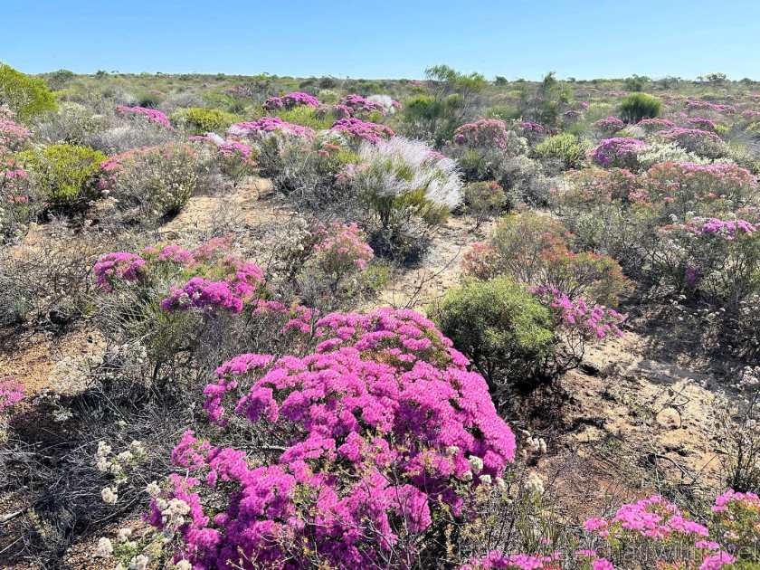 Accessible Western Australia - Have Wheelchair Will Travel