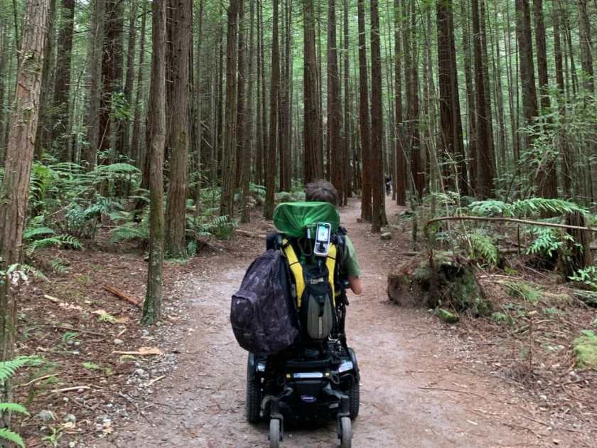 Kimberly Graham's son in his wheelchair on a path through a redwood forest in Rotorua