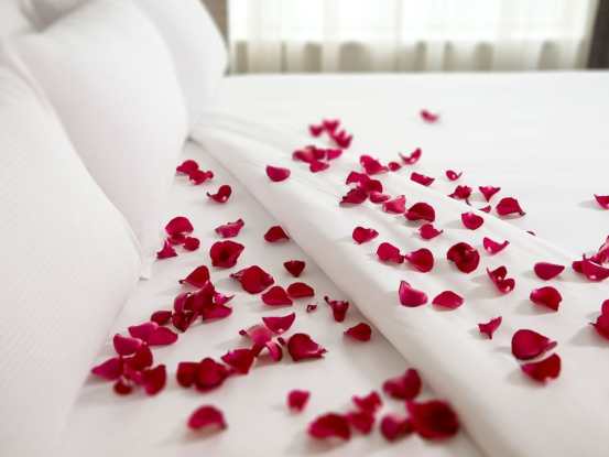Rose petals sprinkled across white linen on a bed