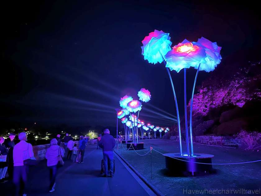 Lightscape - Royal Botanic Garden Sydney - accessible Sydney - Have Wheelchair Will Travel
