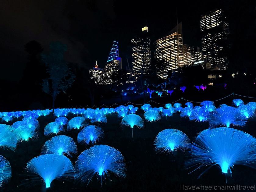 Lightscape - Royal Botanic Garden Sydney - accessible Sydney - Have Wheelchair Will Travel