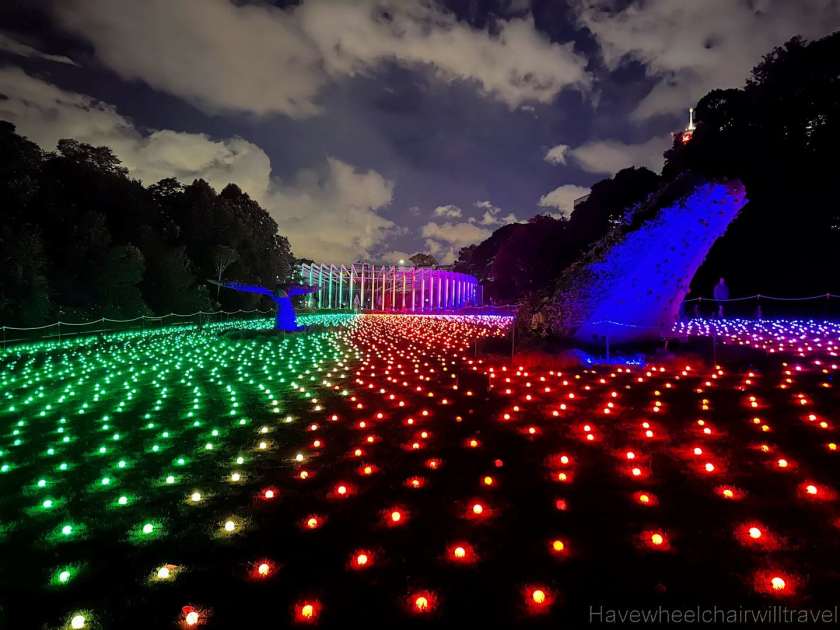 Lightscape - Royal Botanic Garden Sydney - accessible Sydney - Have Wheelchair Will Travel
