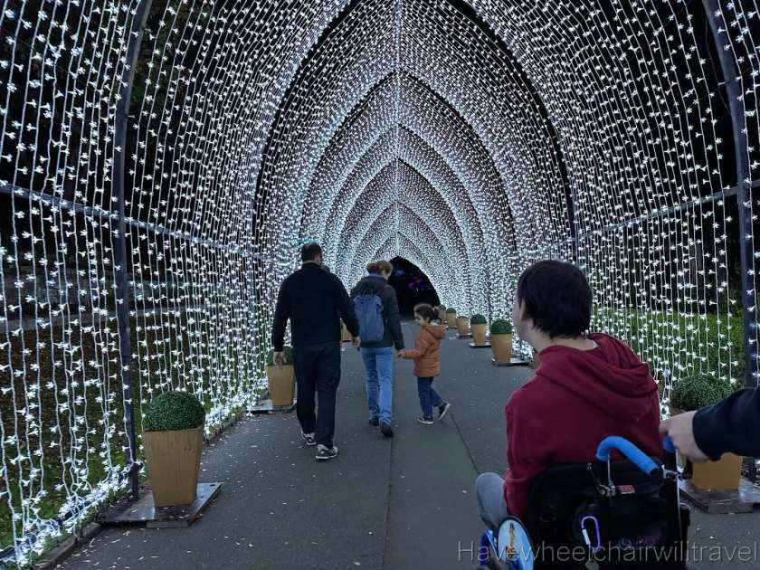Lightscape - Royal Botanic Garden Sydney - accessible Sydney - Have Wheelchair Will Travel