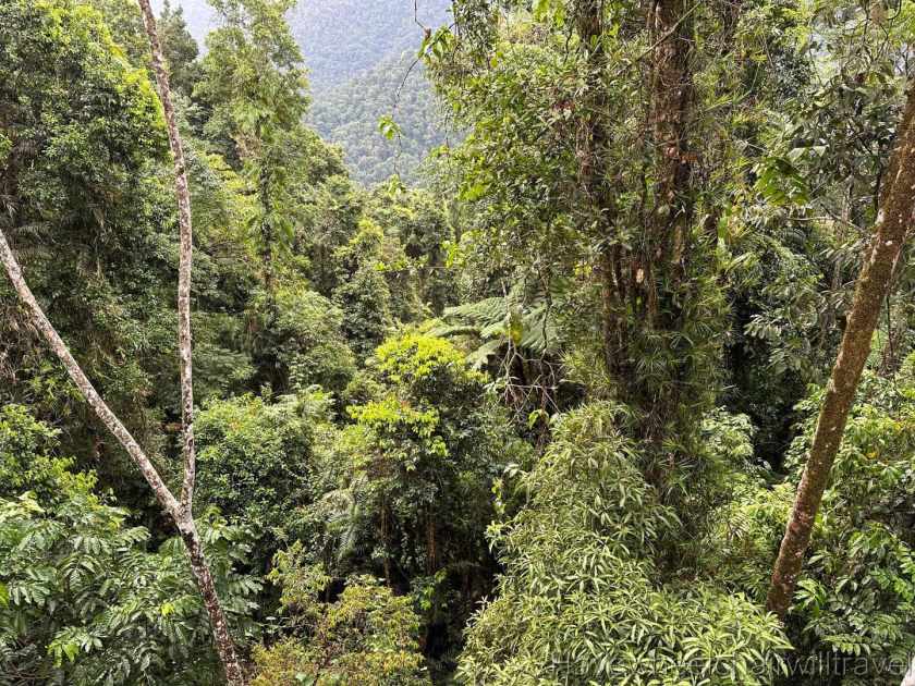 On arrival at Mamu Tropical Skywalk staff provided us with detailed information about what to expect on the walk and how to avoid any areas that might be a little bit more of a push with a wheelchair. 