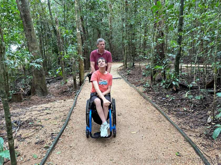 To see all the features of the Mamu Tropical Skywalk requires a 2.5 km return walk and takes at least one hour. An hour and a half is recommended to allow for rest stops in the shelters and time to enjoy the scenery.