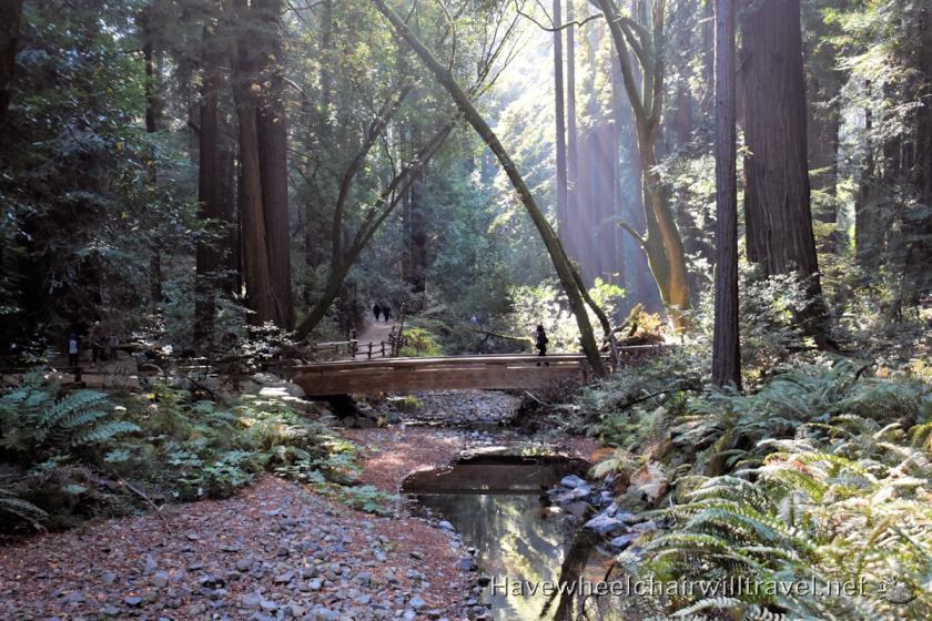 Muir Woods National Monument - accessible San Francisco - Have Wheelchair Will Travel