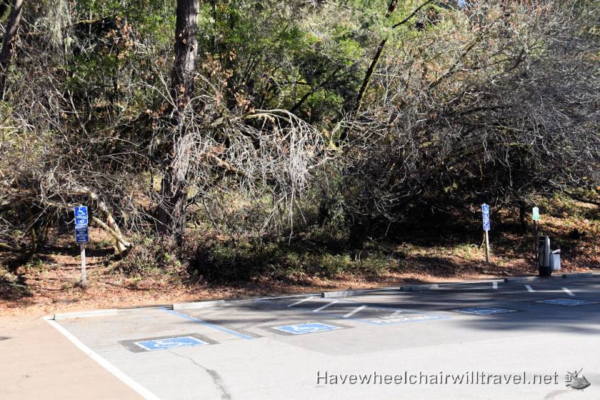 Muir Woods National Monument - accessible San Francisco - Have Wheelchair Will Travel
