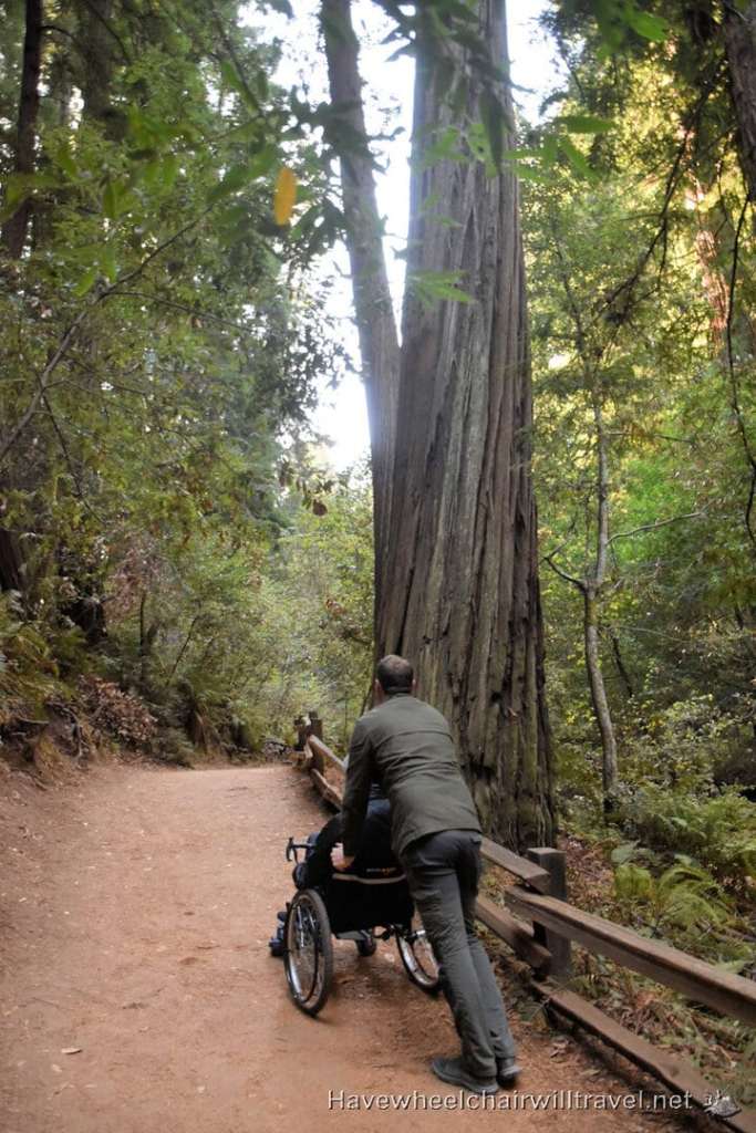 Muir Woods National Monument - accessible San Francisco - Have Wheelchair Will Travel