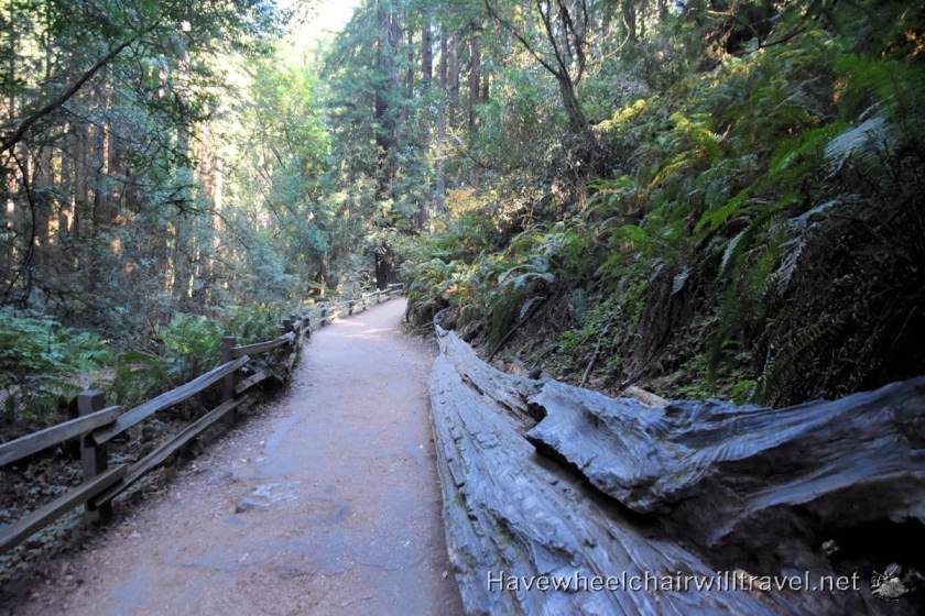 Muir Woods National Monument - accessible San Francisco - Have Wheelchair Will Travel