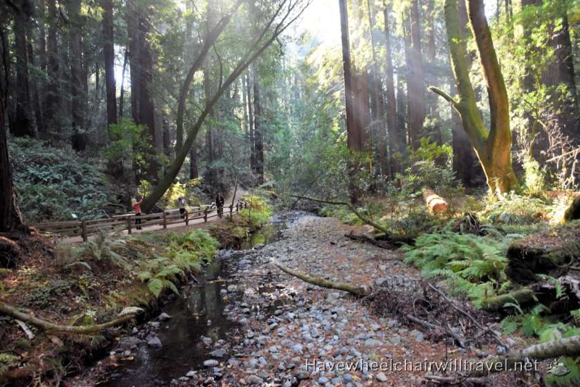 Muir Woods National Monument - accessible San Francisco - Have Wheelchair Will Travel