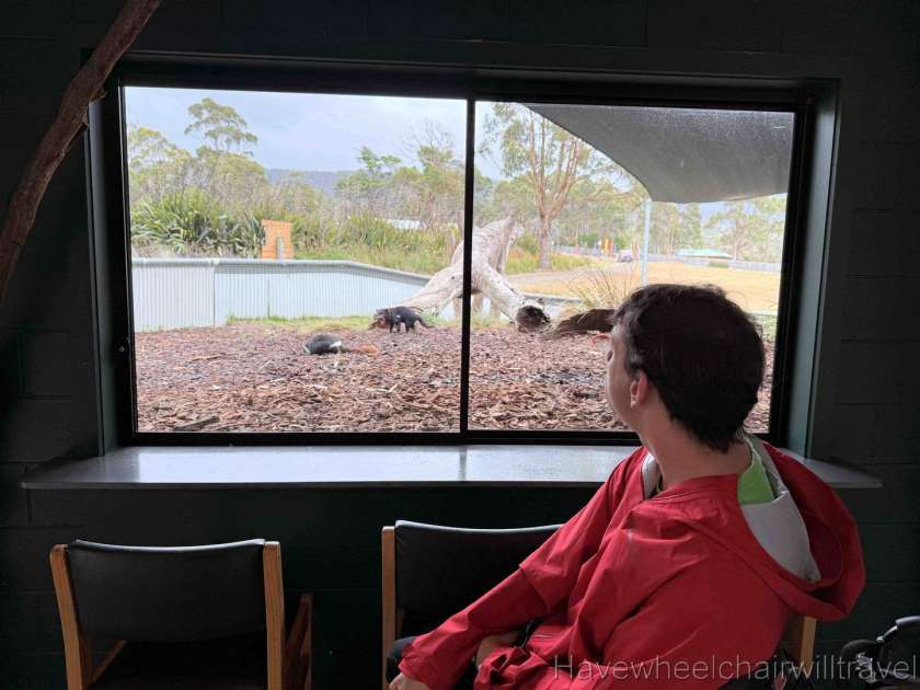 East Coast Natureworld Tasmania review - Have Wheelchair Will Travel
