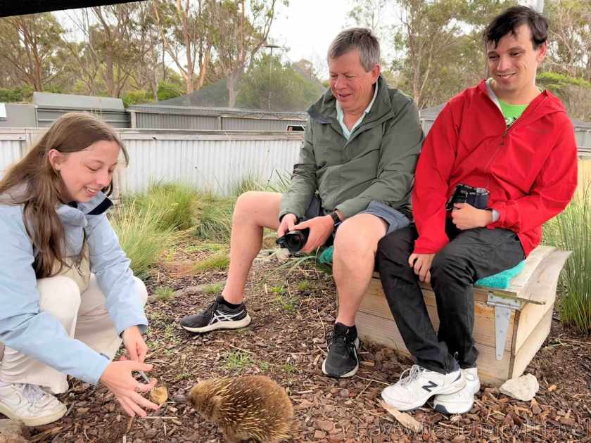 East Coast Natureworld Tasmania review - Have Wheelchair Will Travel