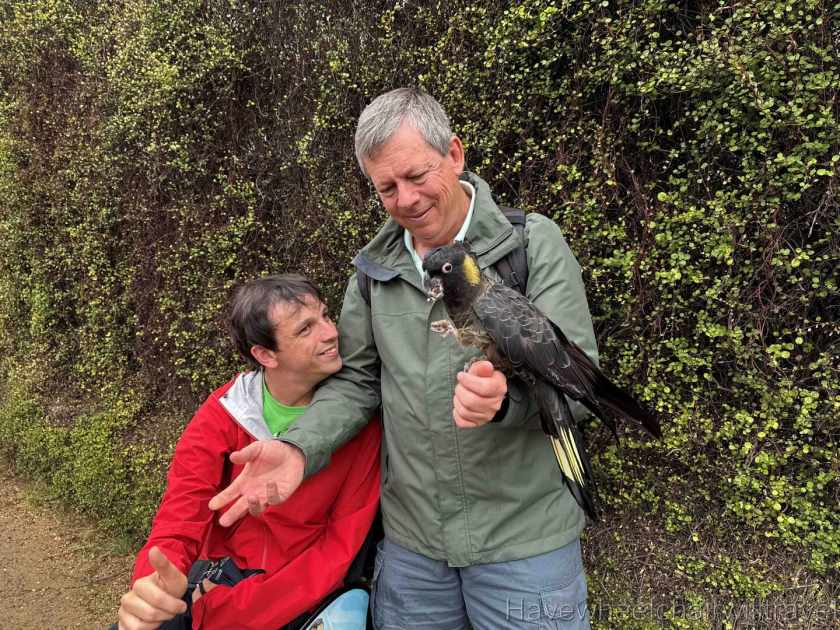 East Coast Natureworld Tasmania review - Have Wheelchair Will Travel