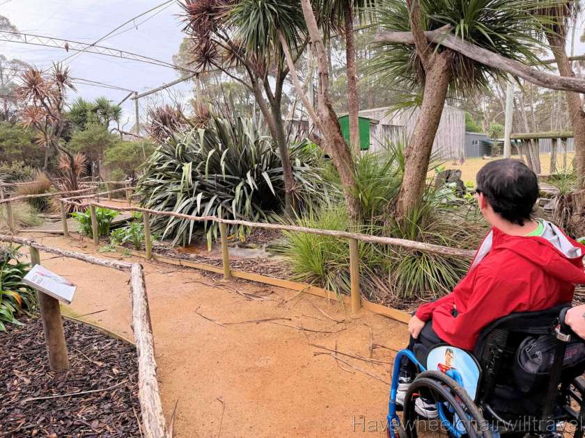 East Coast Natureworld Tasmania review - Have Wheelchair Will Travel