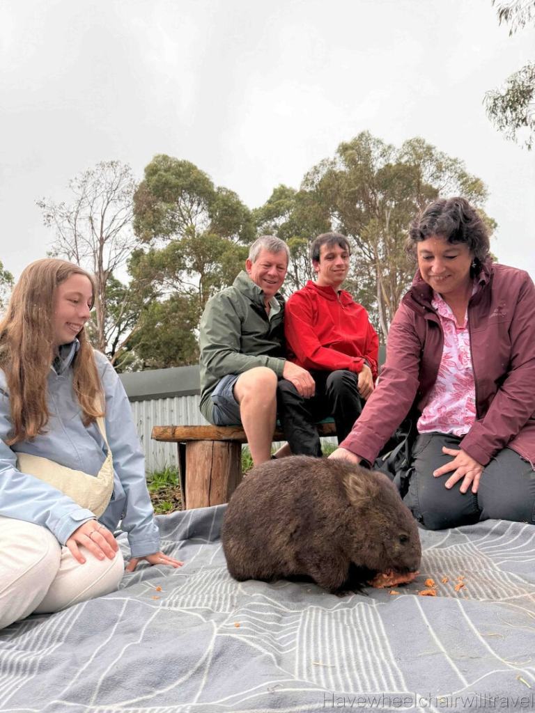 East Coast Natureworld Tasmania review - Have Wheelchair Will Travel