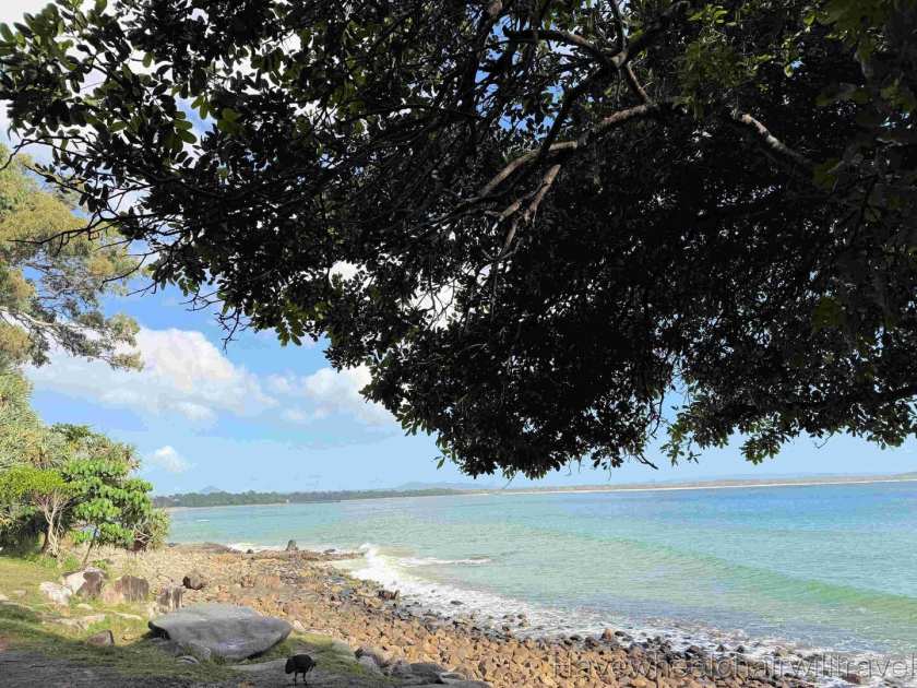 Noosa National Park - access review - Have Wheelchair Will Travel