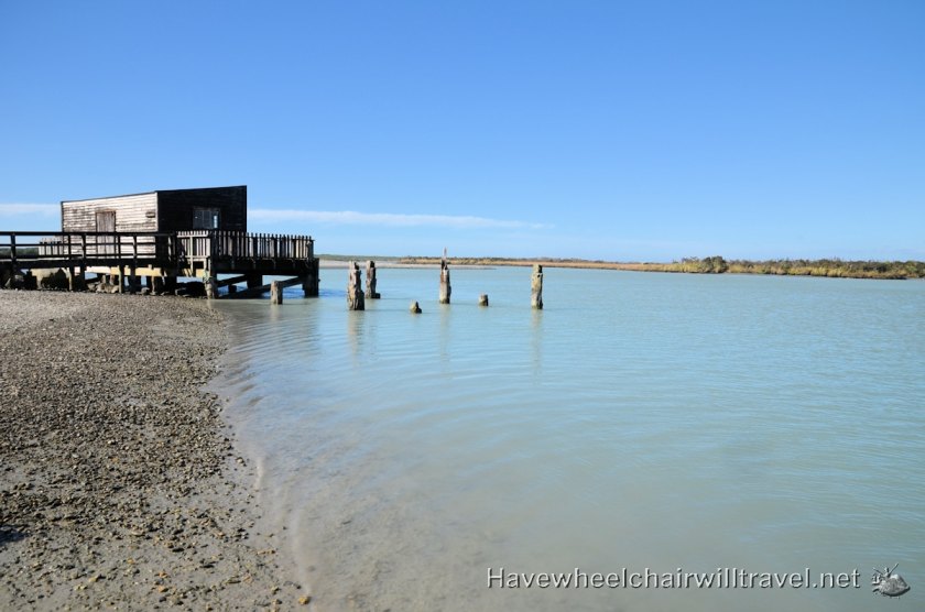 Okarito Wetlands Walk - accessible New Zealand - Have Wheelchair Will Travel