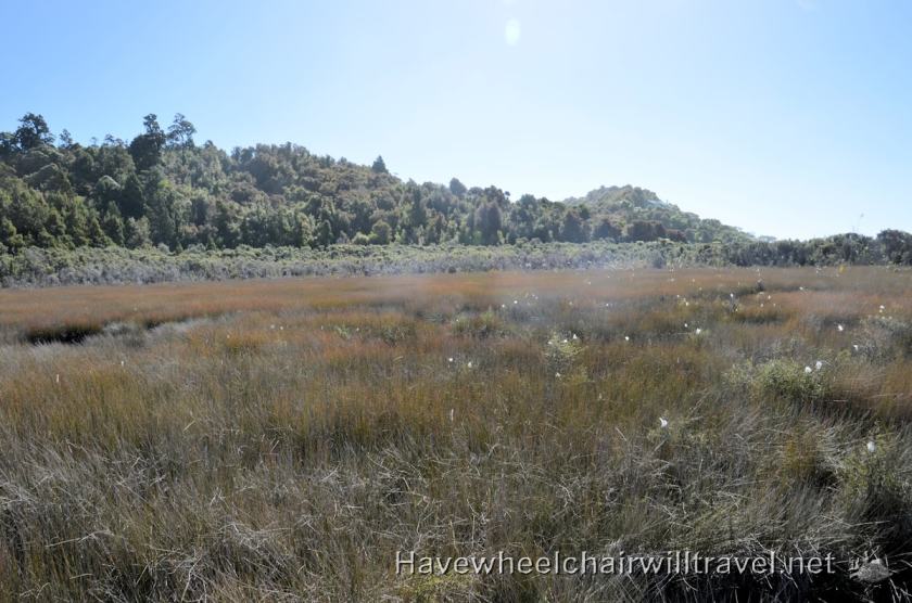 Okarito Wetlands Walk - accessible New Zealand - Have Wheelchair Will Travel