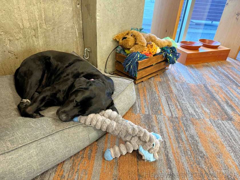 Peppers Silo Launceston review - Have Wheelchair Will Travel