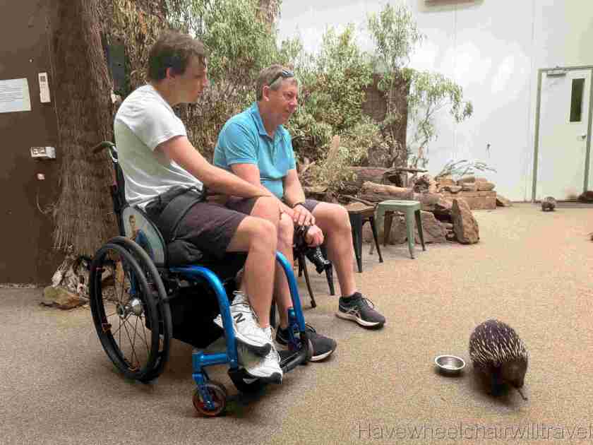 Platypus House Tasmania review - Have Wheelchair Will Travel