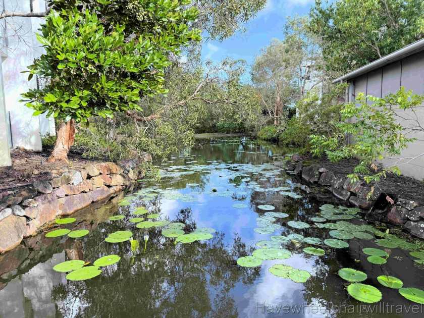 RACV Noosa Resort review - Have Wheelchair Will Travel