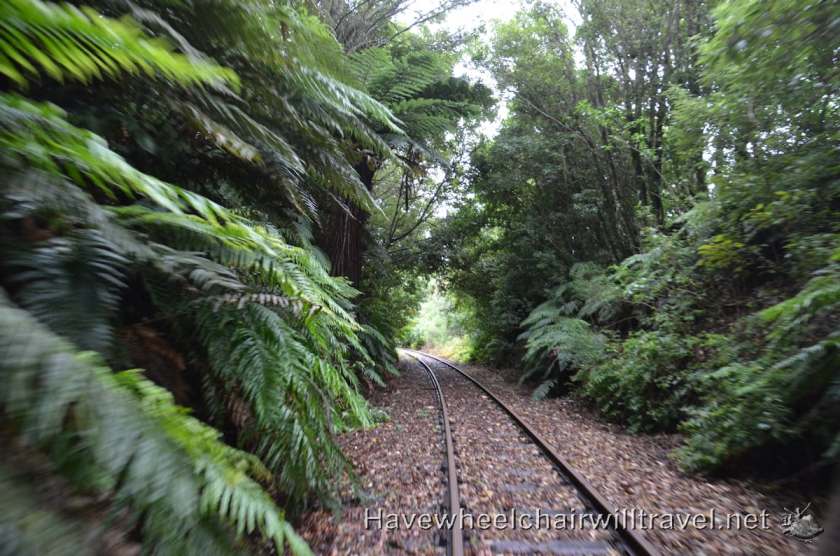 Rail Cruising Rotorua - accessible New Zealand - Have Wheelchair Will Travel