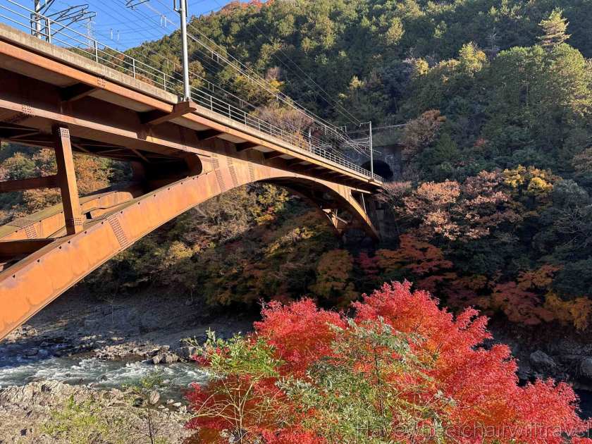 Sagano Romantic Train review - Have Wheelchair Will Travel