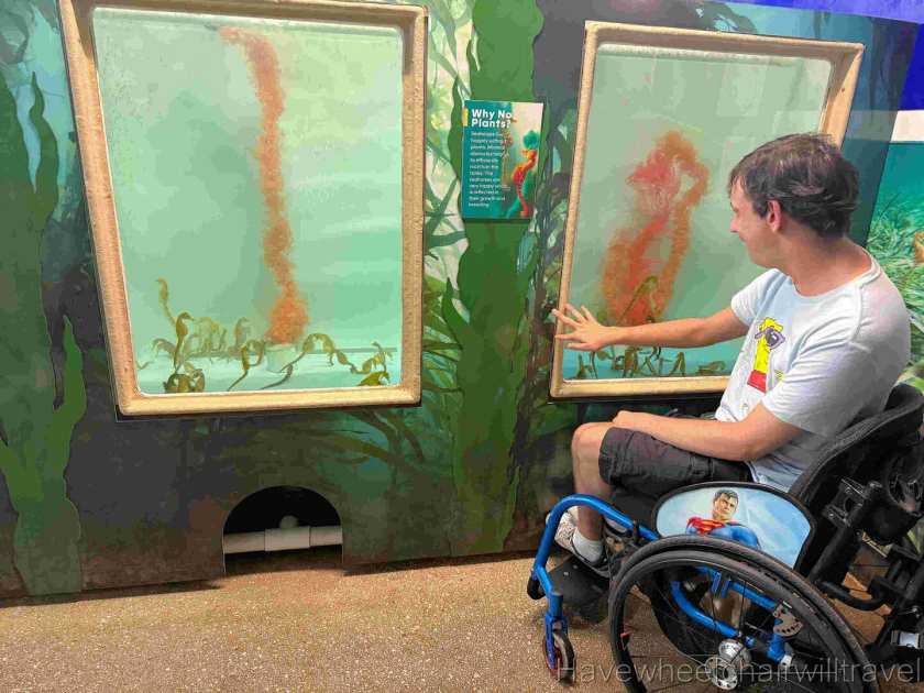 Seahorse World Tasmania - Have Wheelchair Will Travel
