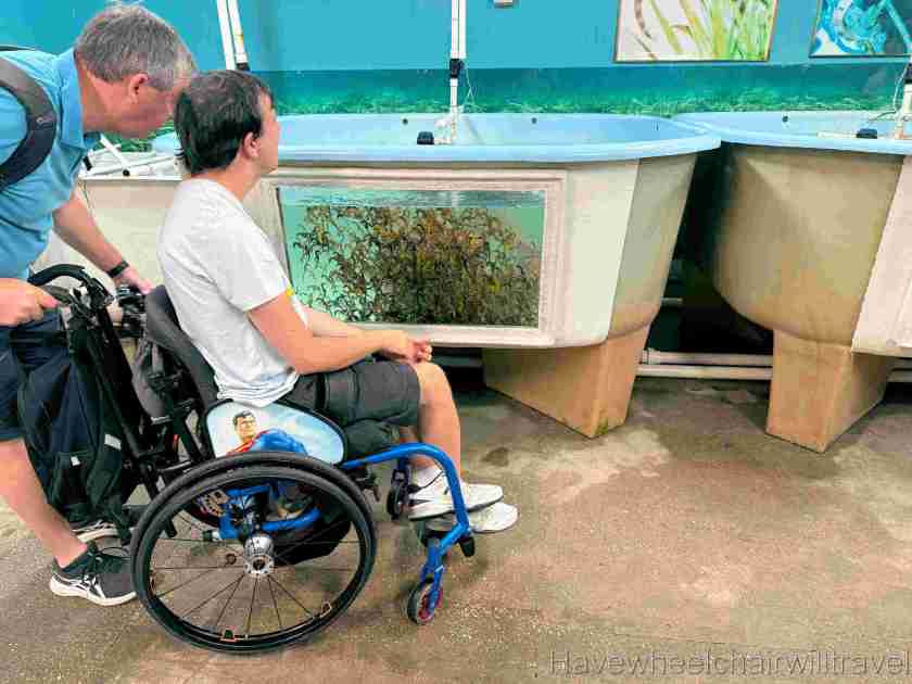 Seahorse World Tasmania - Have Wheelchair Will Travel
